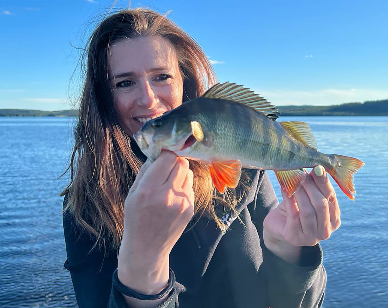 SvartZonker Mc Shaker Perch